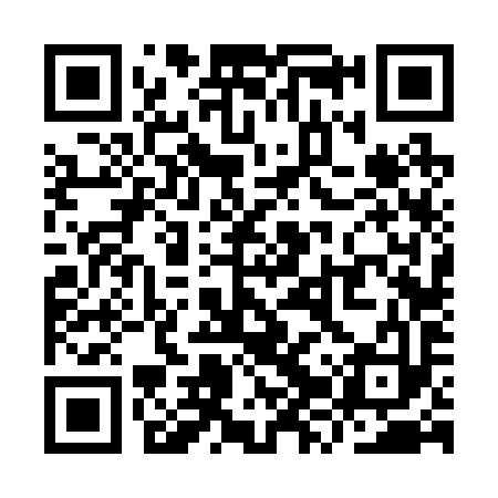 QR code for YZV293