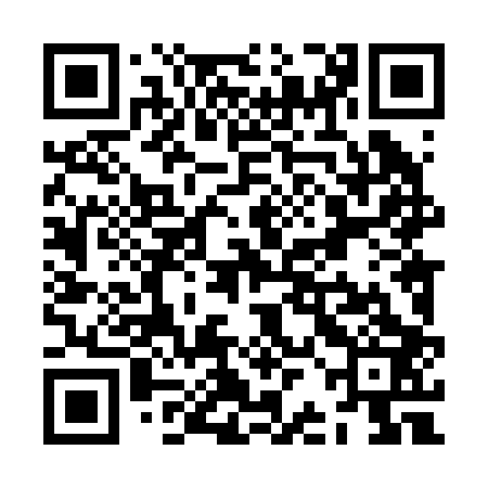 QR code for ZBL203