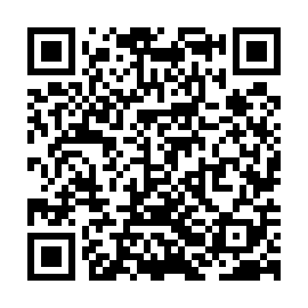 QR code for ZBN509