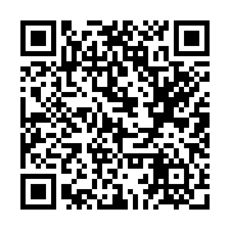 QR code for ZBQ384