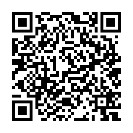 QR code for ZBW6294
