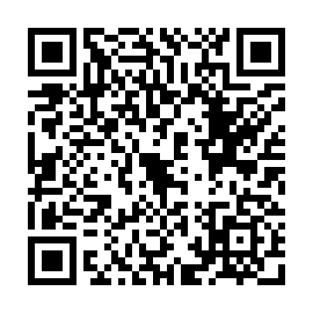 QR code for ZBX9393