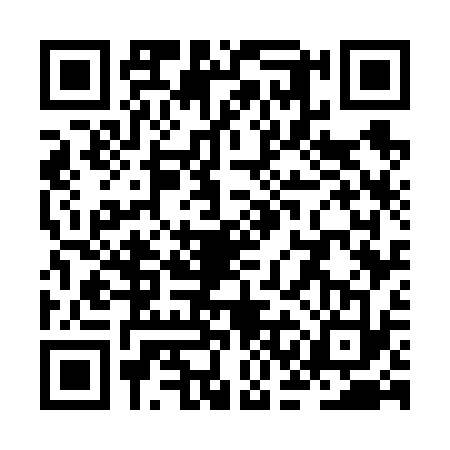 QR code for ZCG6333
