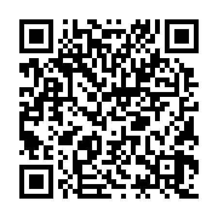 QR code for ZCU368