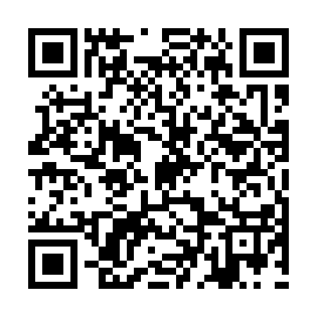 QR code for ZDE117