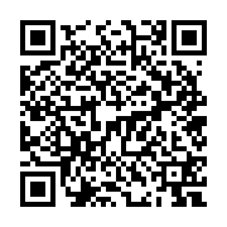 QR code for ZDG2209