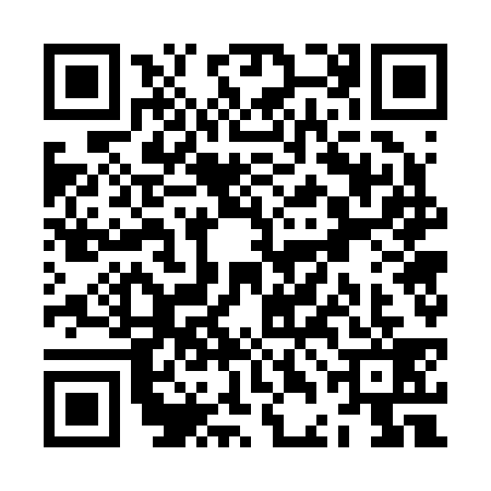 QR code for ZDG2394