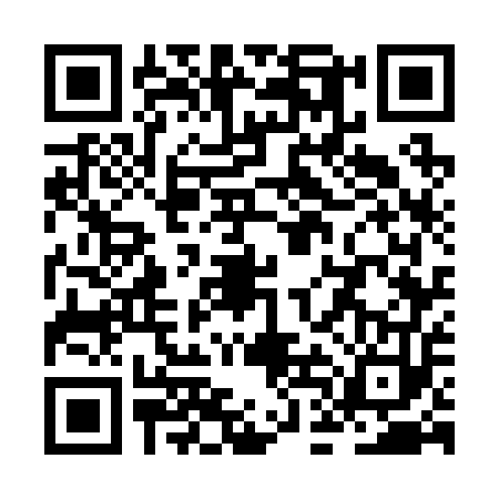 QR code for ZDG2536
