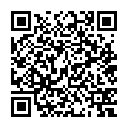 QR code for ZDG3341