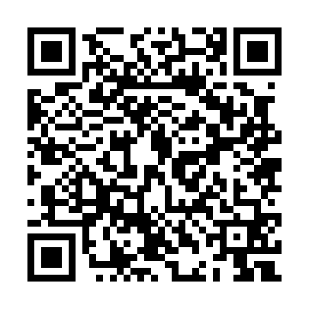 QR code for ZDJ0604