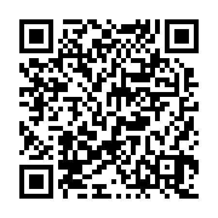 QR code for ZDJ222