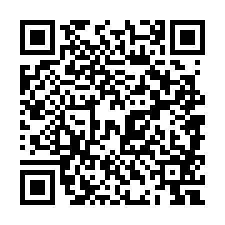 QR code for ZDN3868