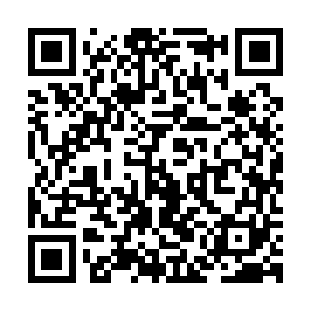 QR code for ZEI161