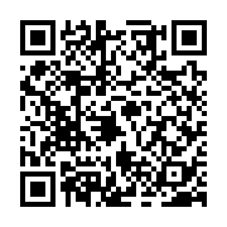 QR code for ZFG3381