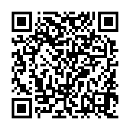 QR code for ZFL390