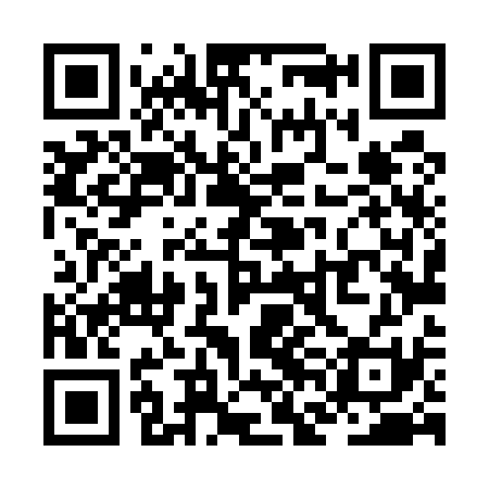 QR code for ZFL531