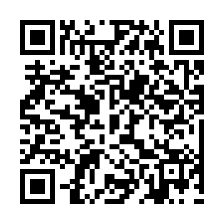 QR code for ZFR383