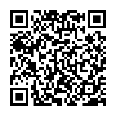 QR code for ZGN310