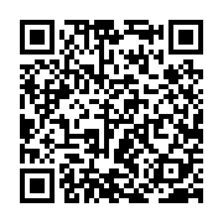 QR code for ZGT209