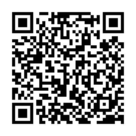 QR code for ZGV411