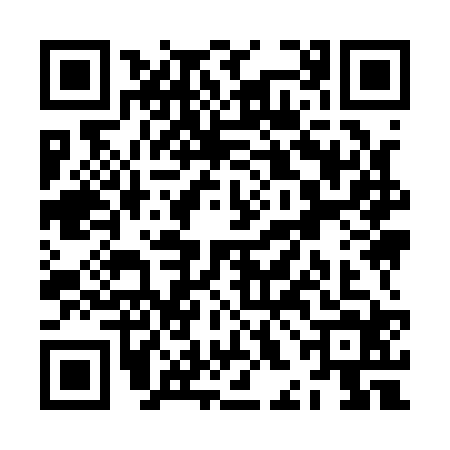 QR code for ZHI1246