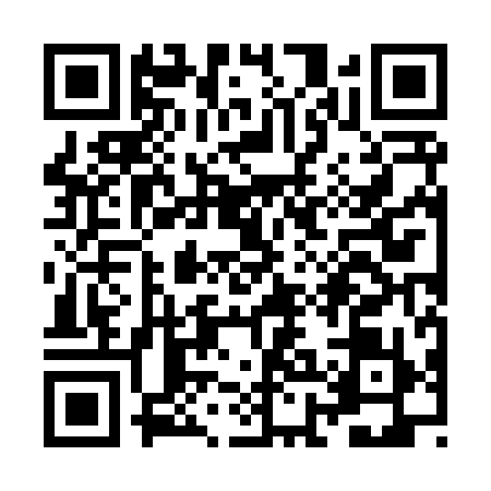 QR code for ZHJ8995