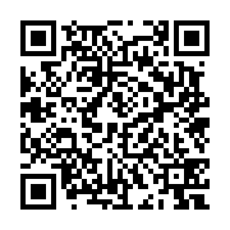 QR code for ZHO4395