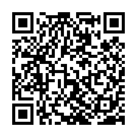 QR code for ZHS411