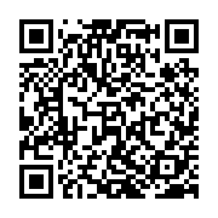 QR code for ZHV208