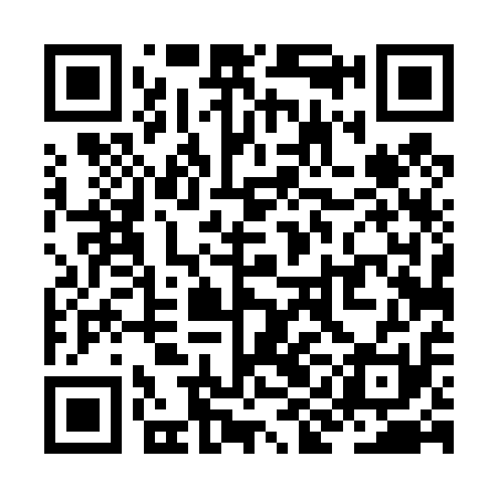 QR code for ZID411