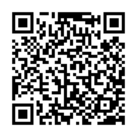 QR code for ZID489