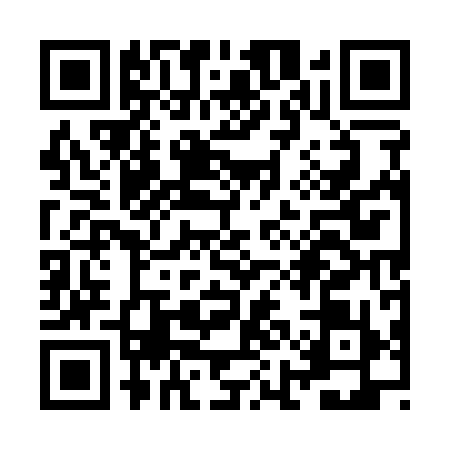 QR code for ZIE1996