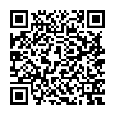 QR code for ZIU8738