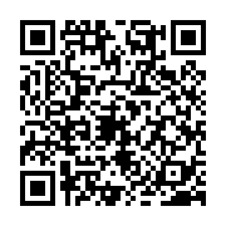QR code for ZIY0398