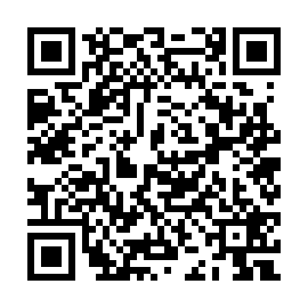 QR code for ZJG3294