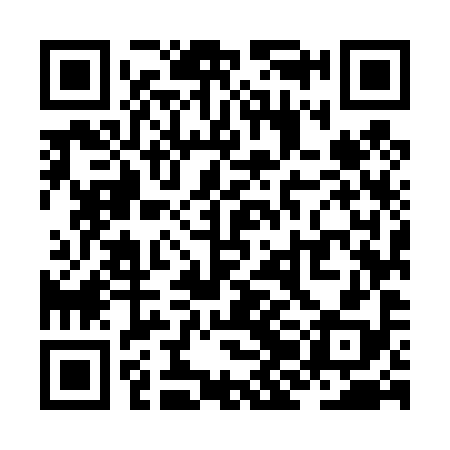 QR code for ZJM498
