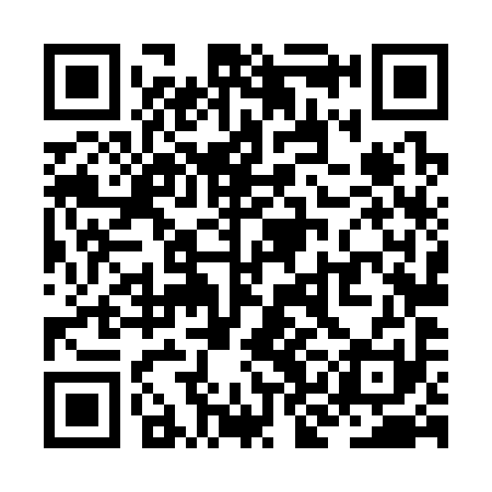 QR code for ZKL391