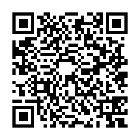 QR code for ZLJ5381