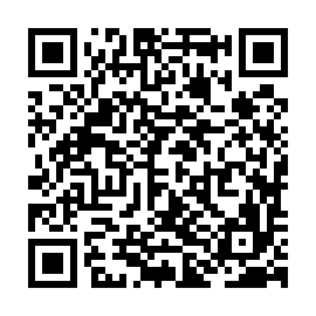 QR code for ZLJ596