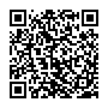 QR code for ZLR203