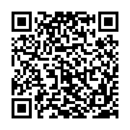 QR code for ZLS216