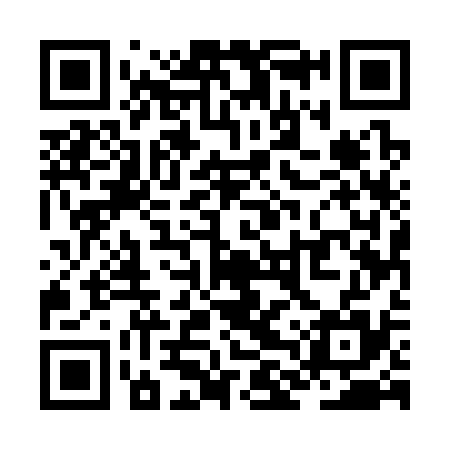 QR code for ZLU335