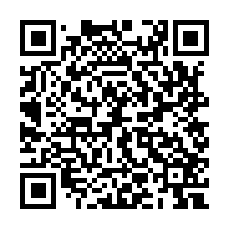 QR code for ZMG906