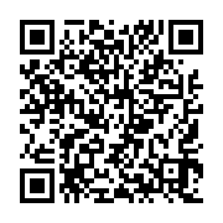 QR code for ZMI413