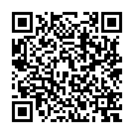 QR code for ZMK8295