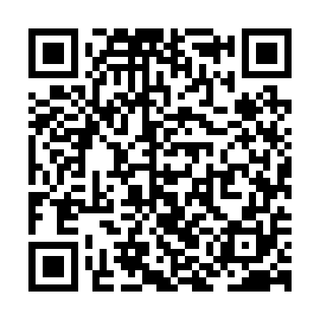 QR code for ZMM250