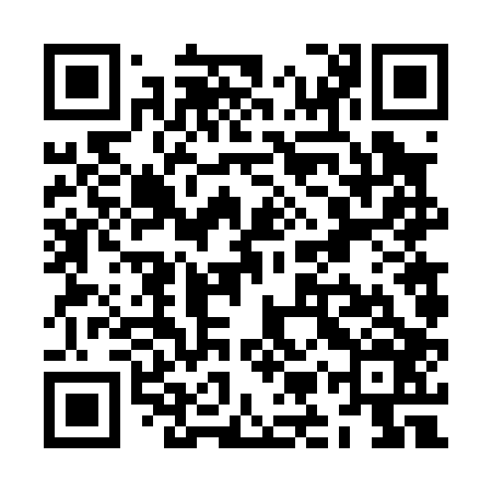 QR code for ZMV006