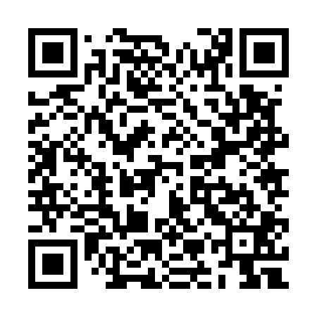 QR code for ZMZ501