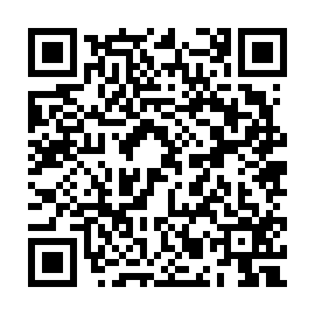 QR code for ZMZ6163