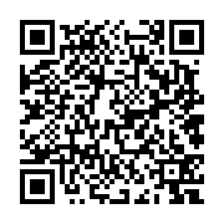 QR code for ZNV4335